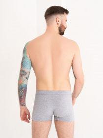 Трусы ISSA Plus модель GN5-168_grey Фото