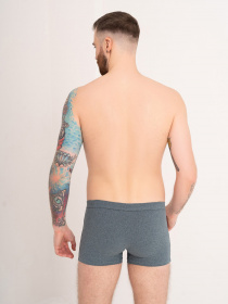 Трусы ISSA Plus модель GN5-169_green Фото