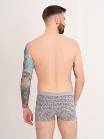 Трусы ISSA Plus модель GN5-170_grey Трусы ISSA Plus модель GN5-170_grey Фото