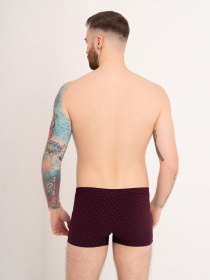 Труси ISSA Plus модель GN5-171_burgundy Фото