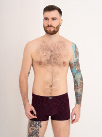 Трусы ISSA Plus модель GN5-171_burgundy Фото