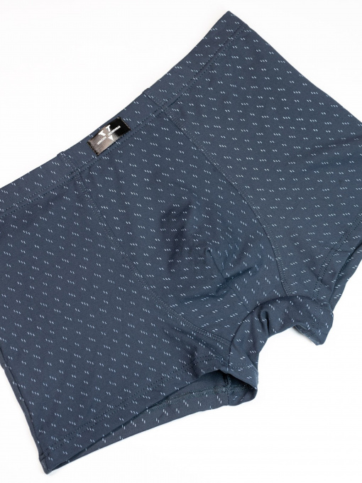 Труси ISSA Plus модель GN5-171_grey Фото