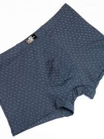 Труси ISSA Plus модель GN5-171_grey Труси ISSA Plus модель GN5-171_grey Фото