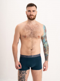 Труси ISSA Plus модель GN5-172_green Фото