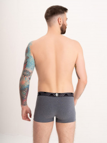 Трусы ISSA Plus модель GN5-172_grey Фото