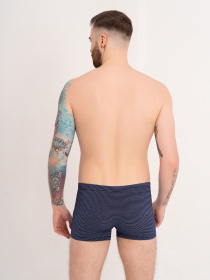 Трусы ISSA Plus модель GN5-174_blue Фото