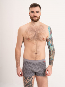 Труси ISSA Plus модель GN5-175_grey Фото