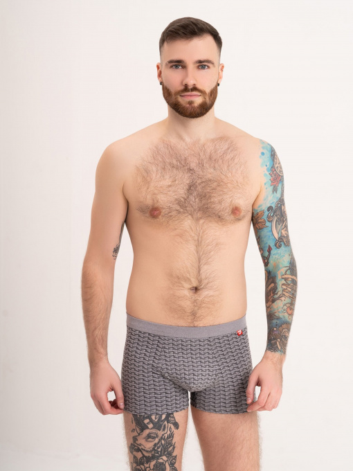 Труси ISSA Plus модель GN5-175_grey Фото