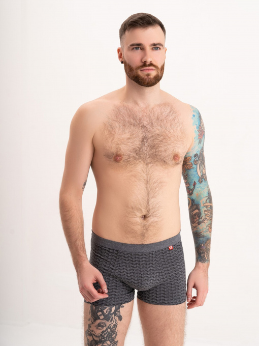 Труси ISSA Plus модель GN5-175_darkgray Фото