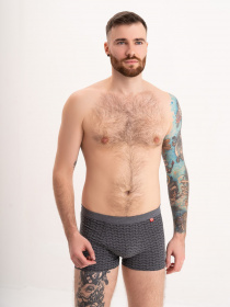 Трусы ISSA Plus модель GN5-175_darkgray Фото