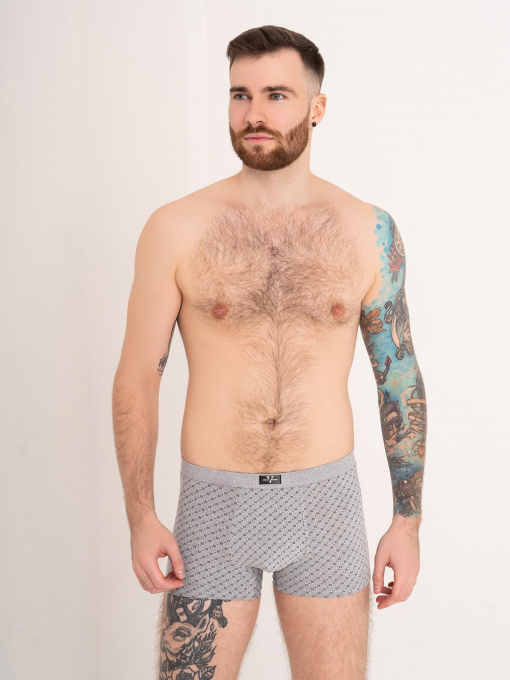 Труси ISSA Plus модель GN5-176_grey Фото