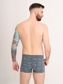 Трусы ISSA Plus модель GN5-180_green Фото