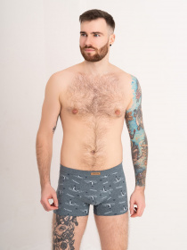 Трусы ISSA Plus модель GN5-180_green Фото