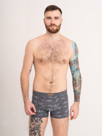 Труси ISSA Plus модель GN5-180_darkgray - фото