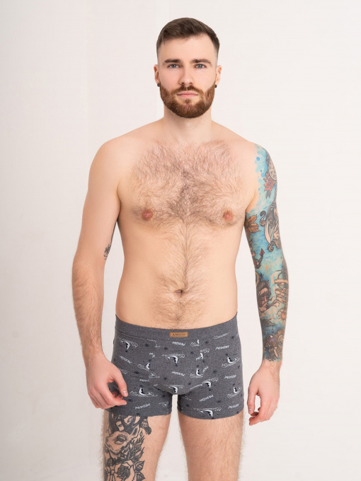 Трусы ISSA Plus модель GN5-180_darkgray Фото