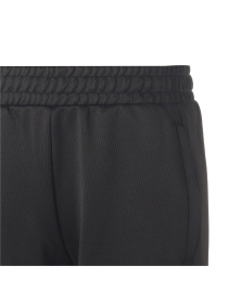 Штаны спортивные PUMA модель 538458 Штаны спортивные PUMA модель 538458 Фото