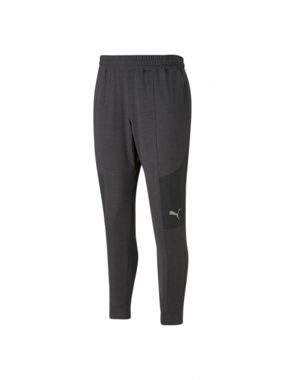 Штаны спортивные PUMA Train Cloudspun Jogger модель 523127 - фото