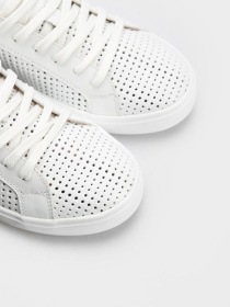 Кеди низькі Gem модель 0114-P-2 Фото