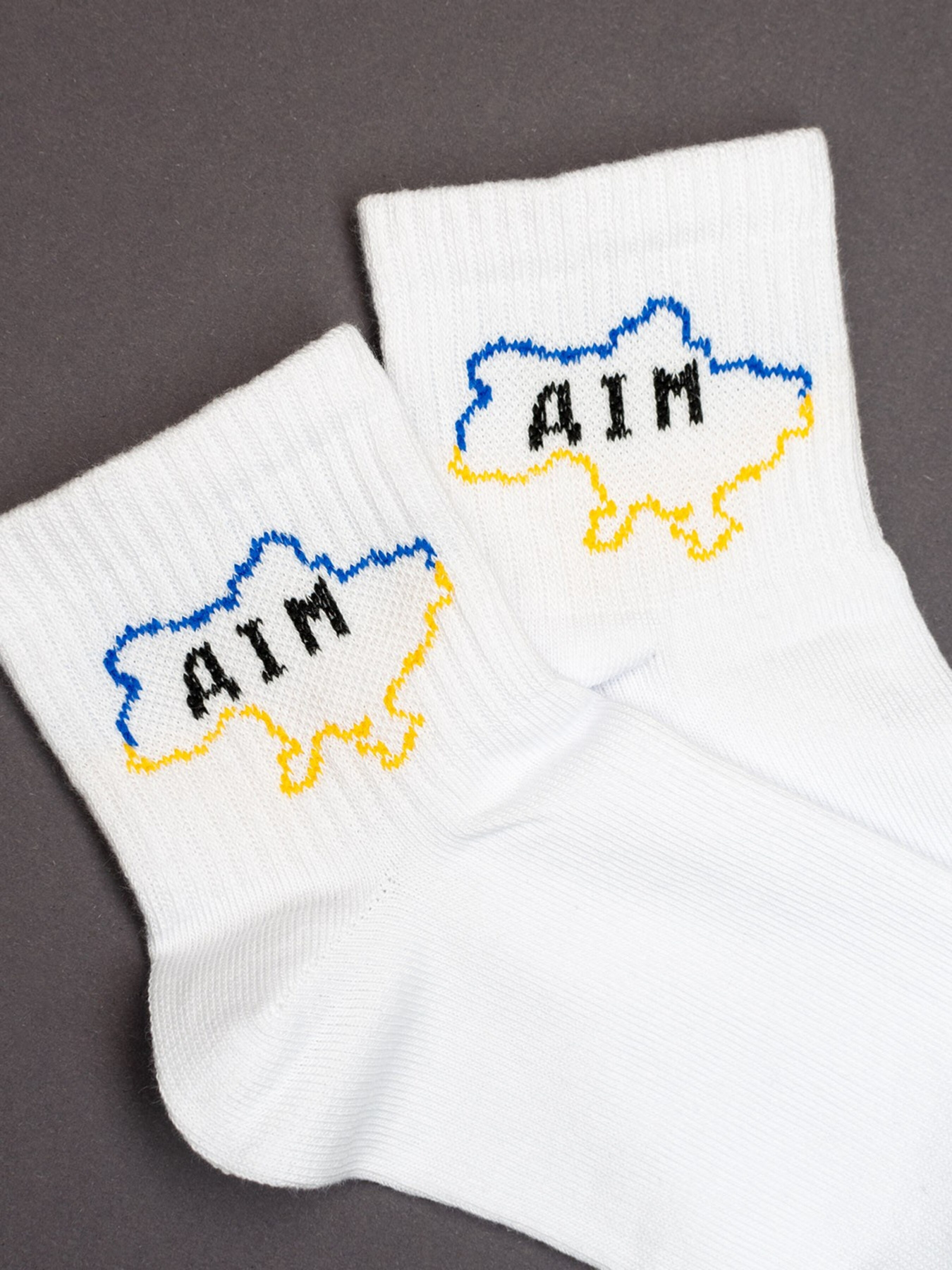 Шкарпетки ISSA Plus модель NS-250_white Фото