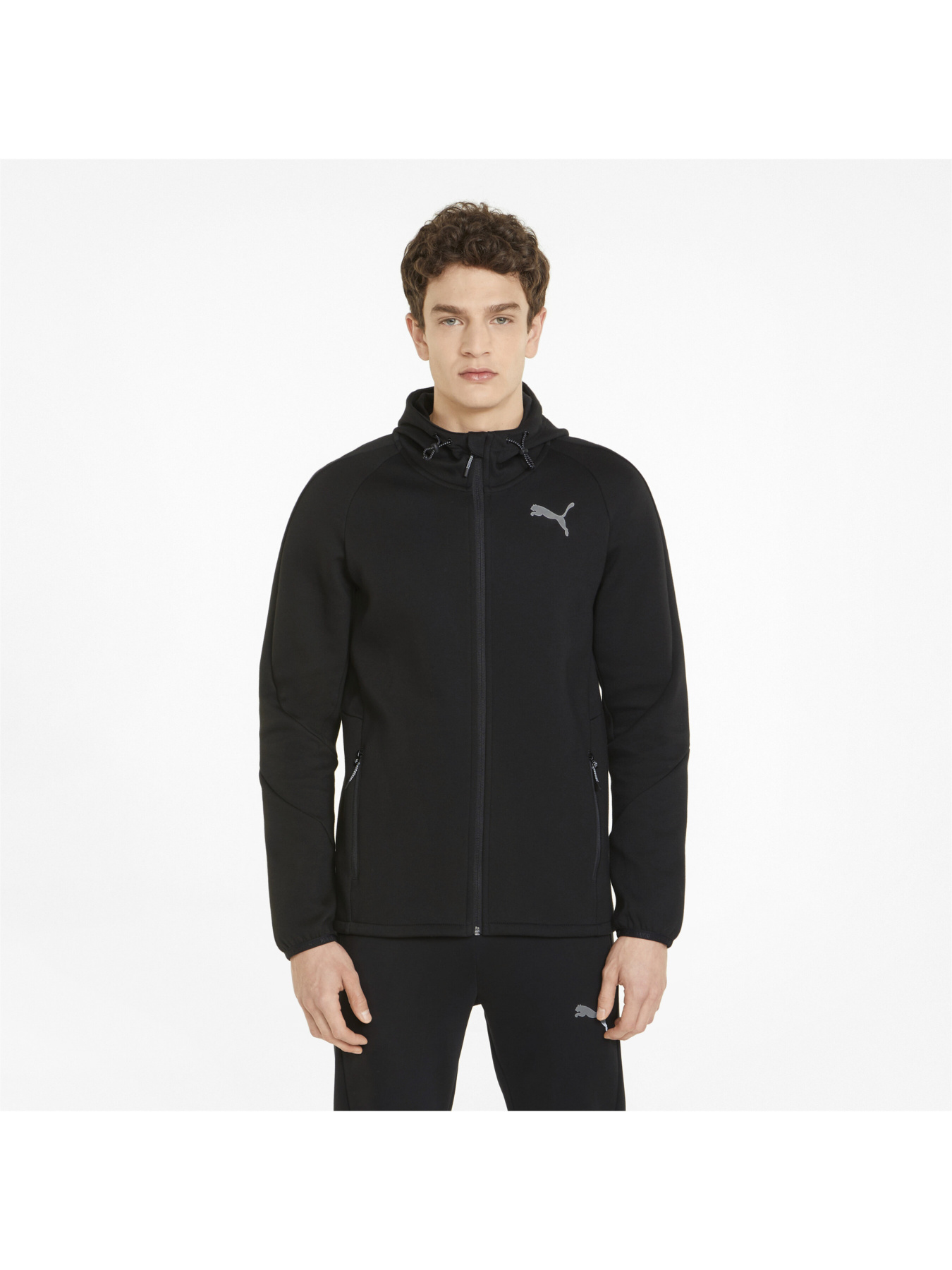 Кофта спортивна PUMA Evostripe Full-zip Hoodie модель 847401 Фото