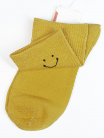 Шкарпетки ISSA Plus модель NS-262_mustard Фото