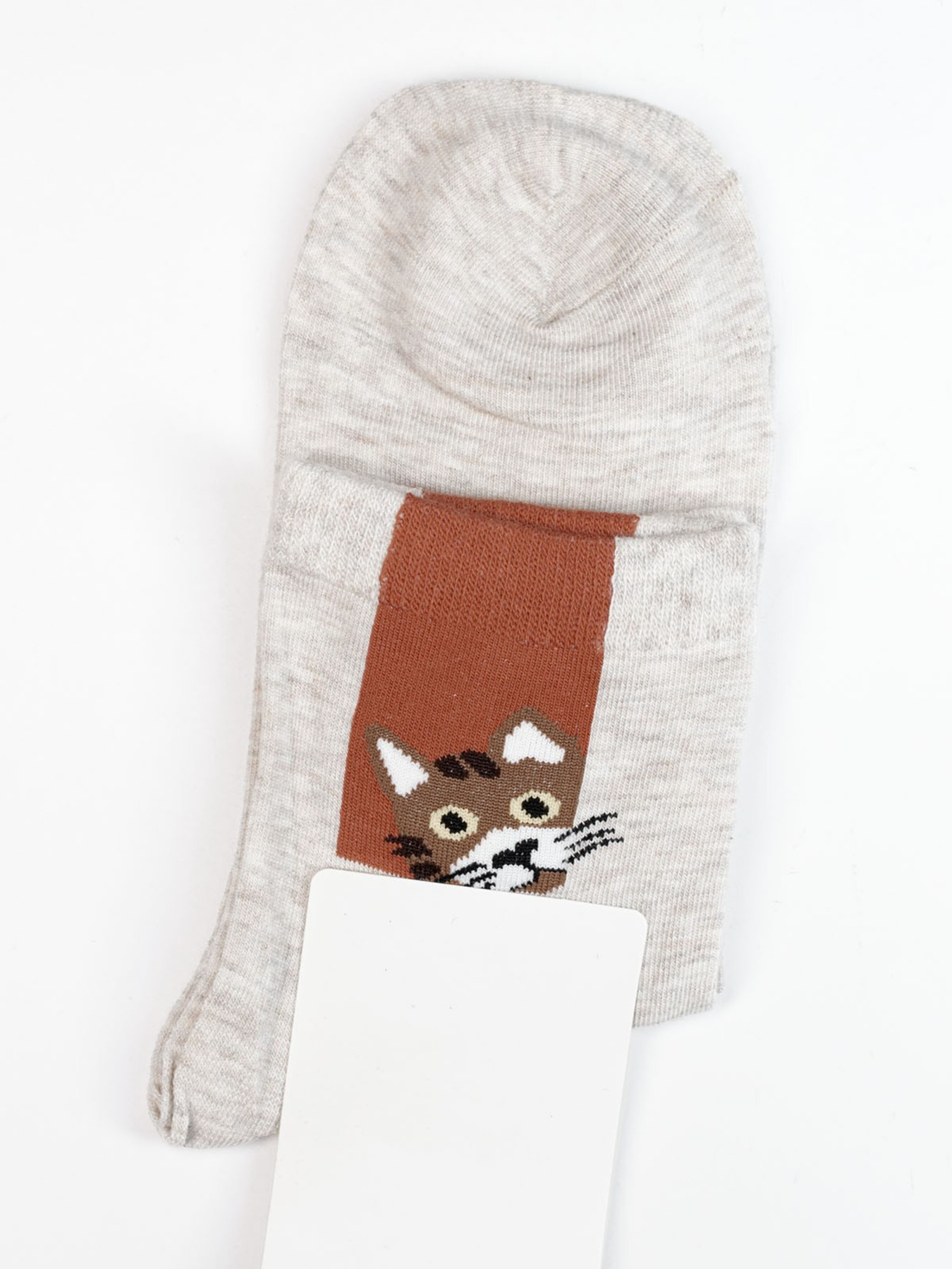 Шкарпетки ISSA Plus модель NS-279_grey Фото