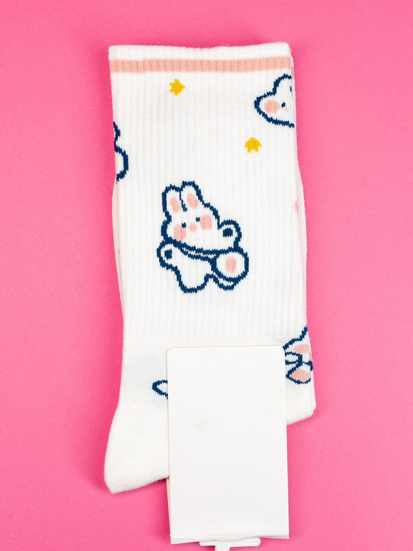 Шкарпетки ISSA Plus модель NS-287_white Фото