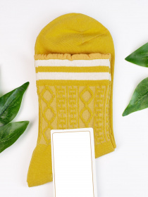 Шкарпетки ISSA Plus модель NS-288_mustard Фото