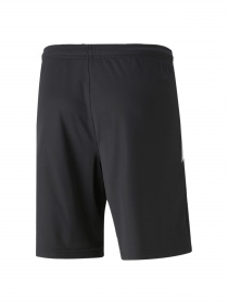 Шорты спортивные PUMA Teamliga Training Shorts 2 модель 657667 Фото