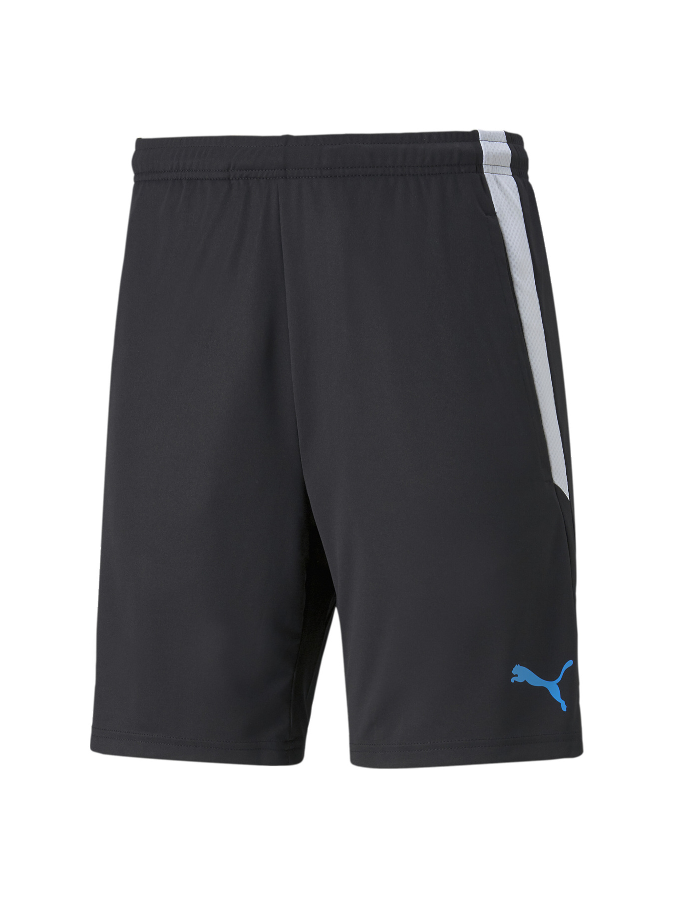 Спортивні шорти PUMA Teamliga Training Shorts 2 модель 657667 Фото