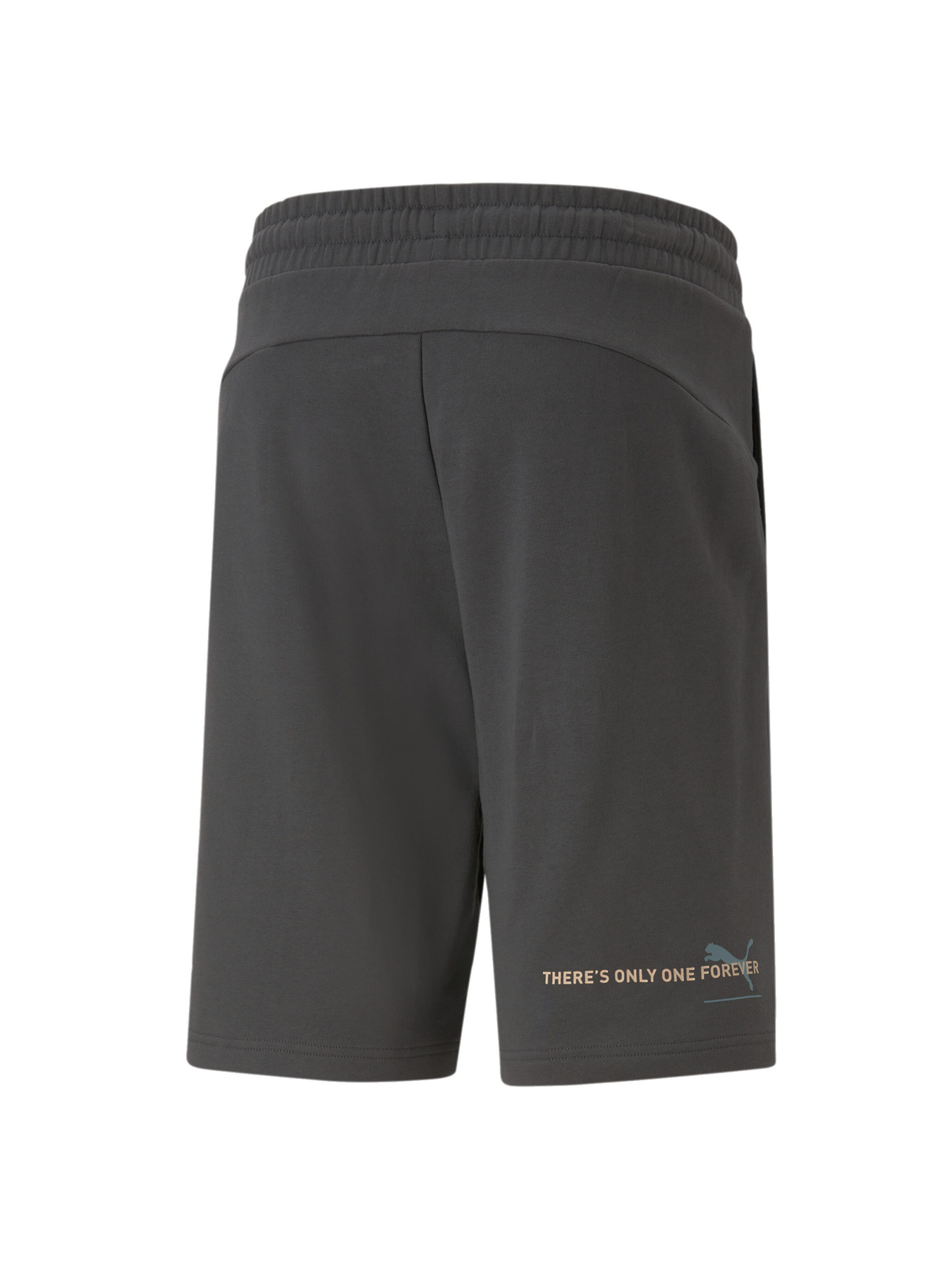 Шорты спортивные PUMA модель 673295 Фото