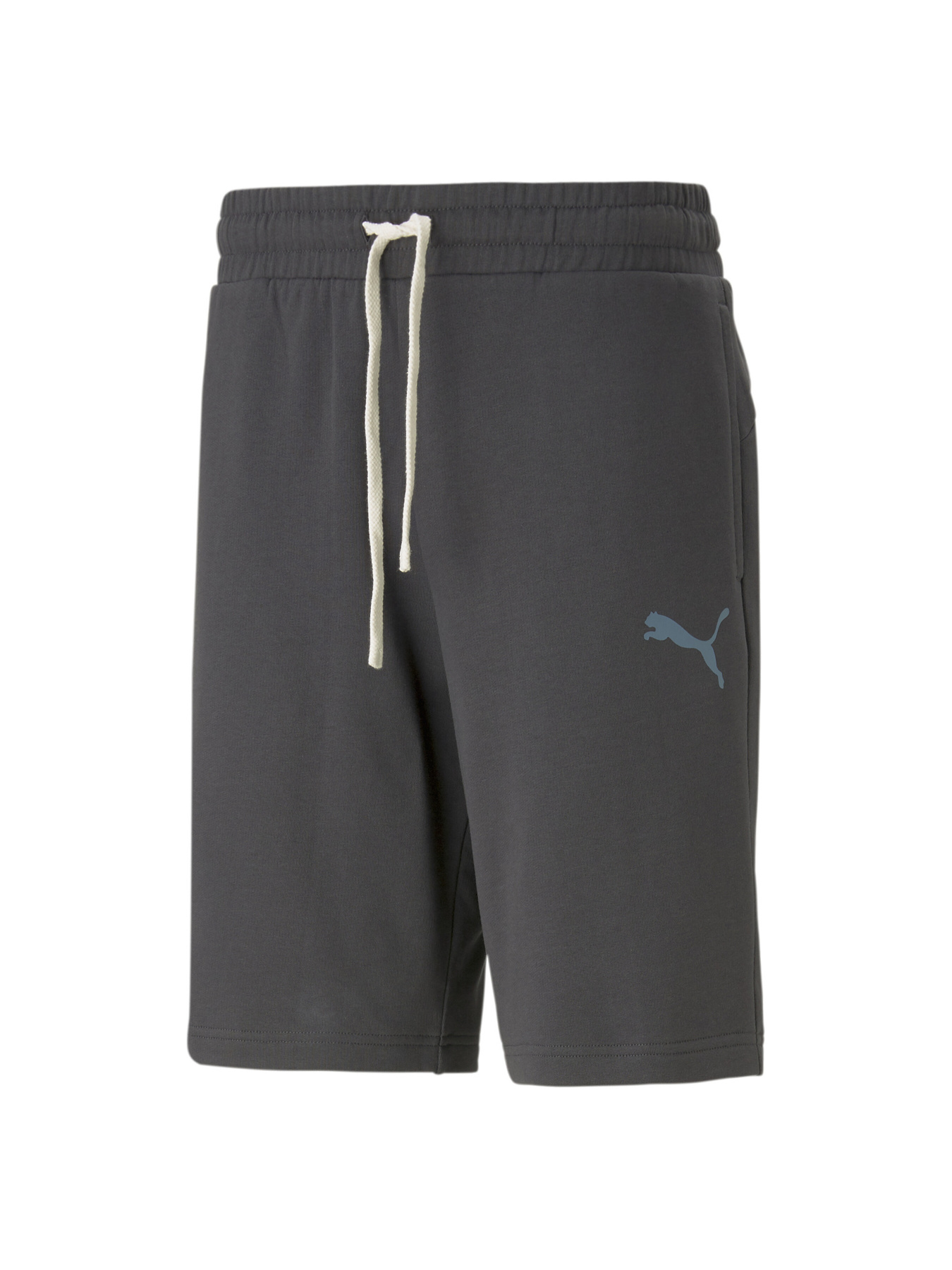 Шорты спортивные PUMA модель 673295 Фото