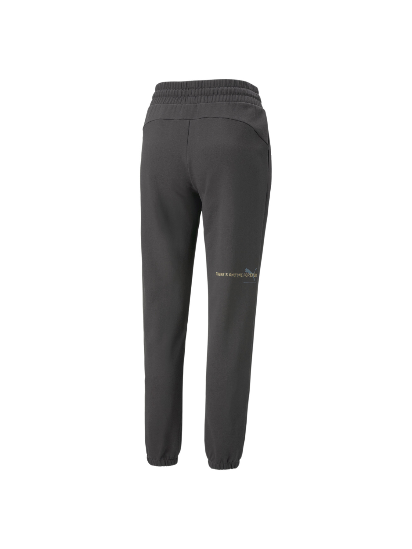 Спортивні штани PUMA ESS BETTER Sweatpants модель 673299 Фото