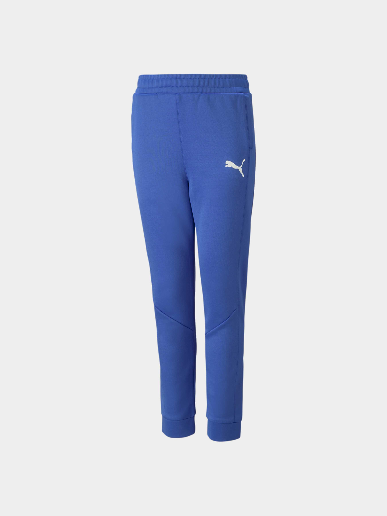 Спортивні штани PUMA Fit Pants модель 673200 Спортивні штани PUMA Fit Pants модель 673200 Фото