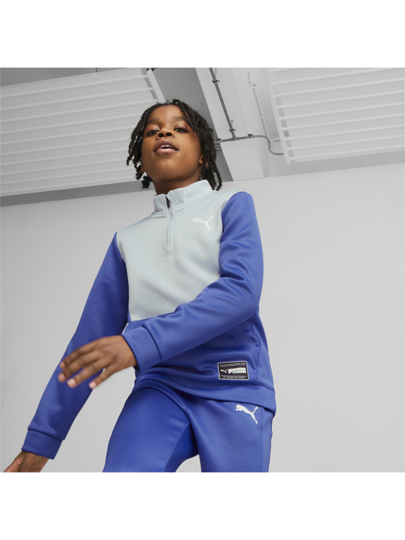 Світшот PUMA Fit Quarter-zip модель 673194 Фото