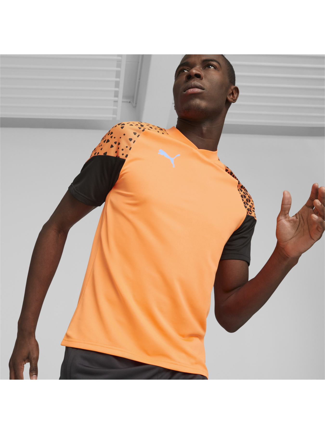 Футболка спортивная PUMA individualCUP Jersey модель 658289 Фото