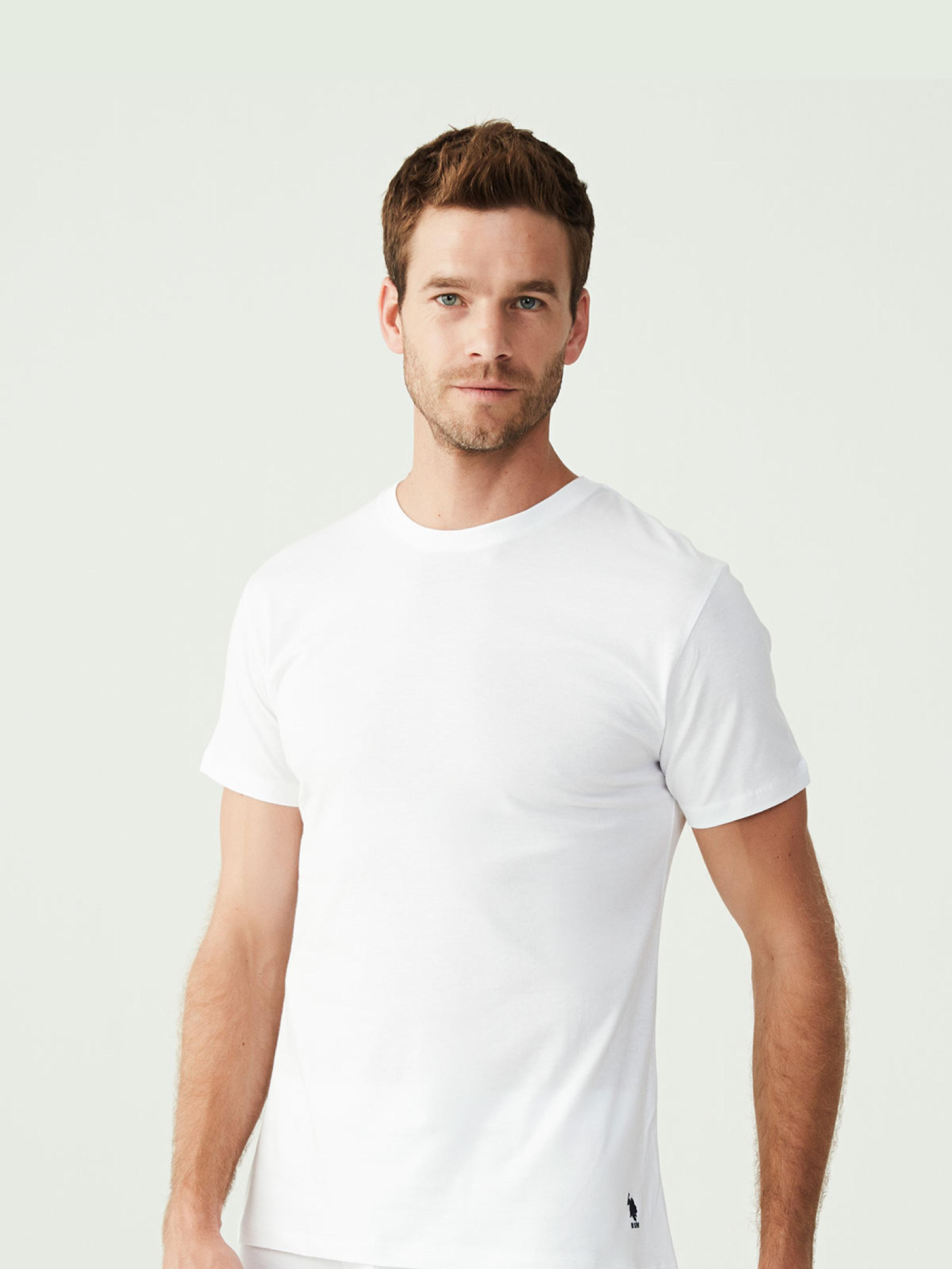 Футболка US Polo модель US.01.80197.VR013 Фото