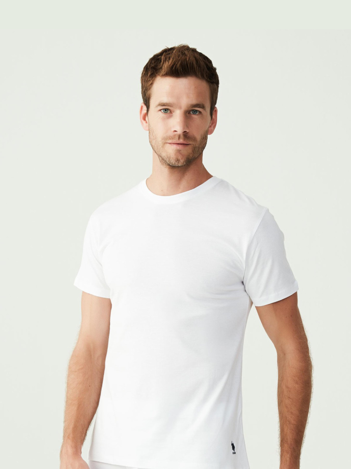 Футболка US Polo модель US.01.80197.VR013 Фото