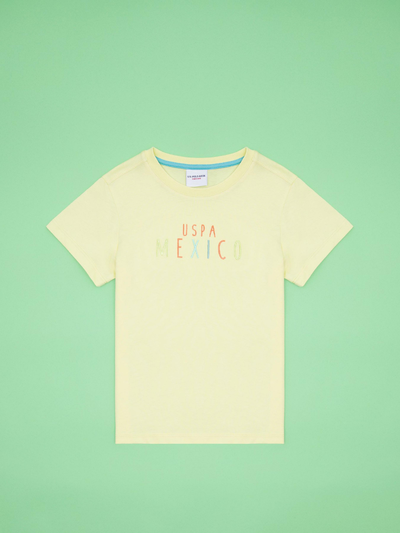 Футболка US Polo модель G083SZ011.000.1573142.VR004 Фото