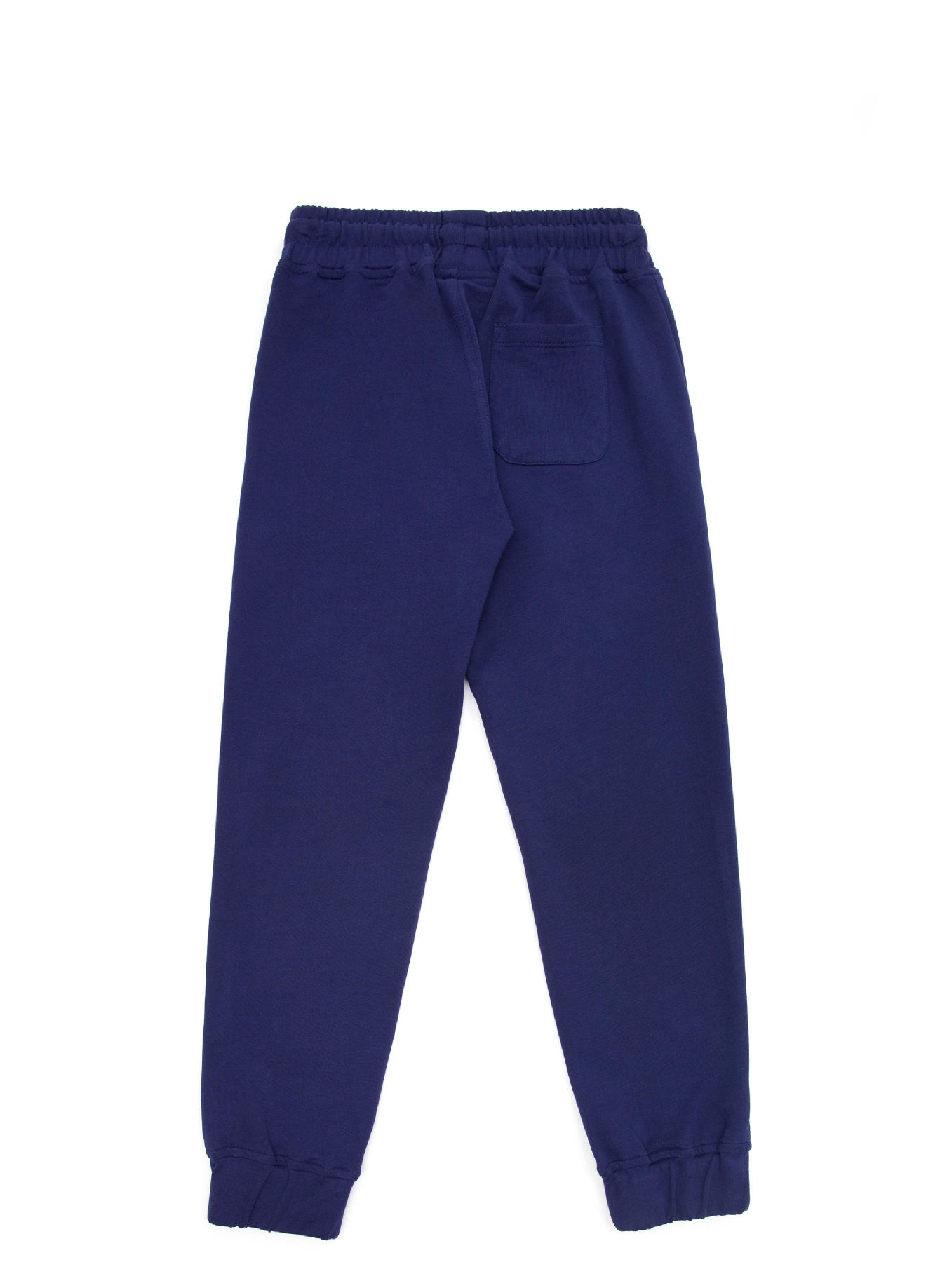 Штани спортивні US Polo модель G083SZ0OP.000.1573674.VR033 Фото