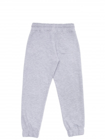 Спортивні штани US Polo модель G083SZ0OP.000.1573674.VR086 Фото