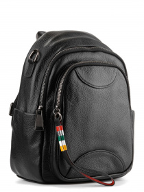 Рюкзак LeBERDES модель 00000015491 Фото