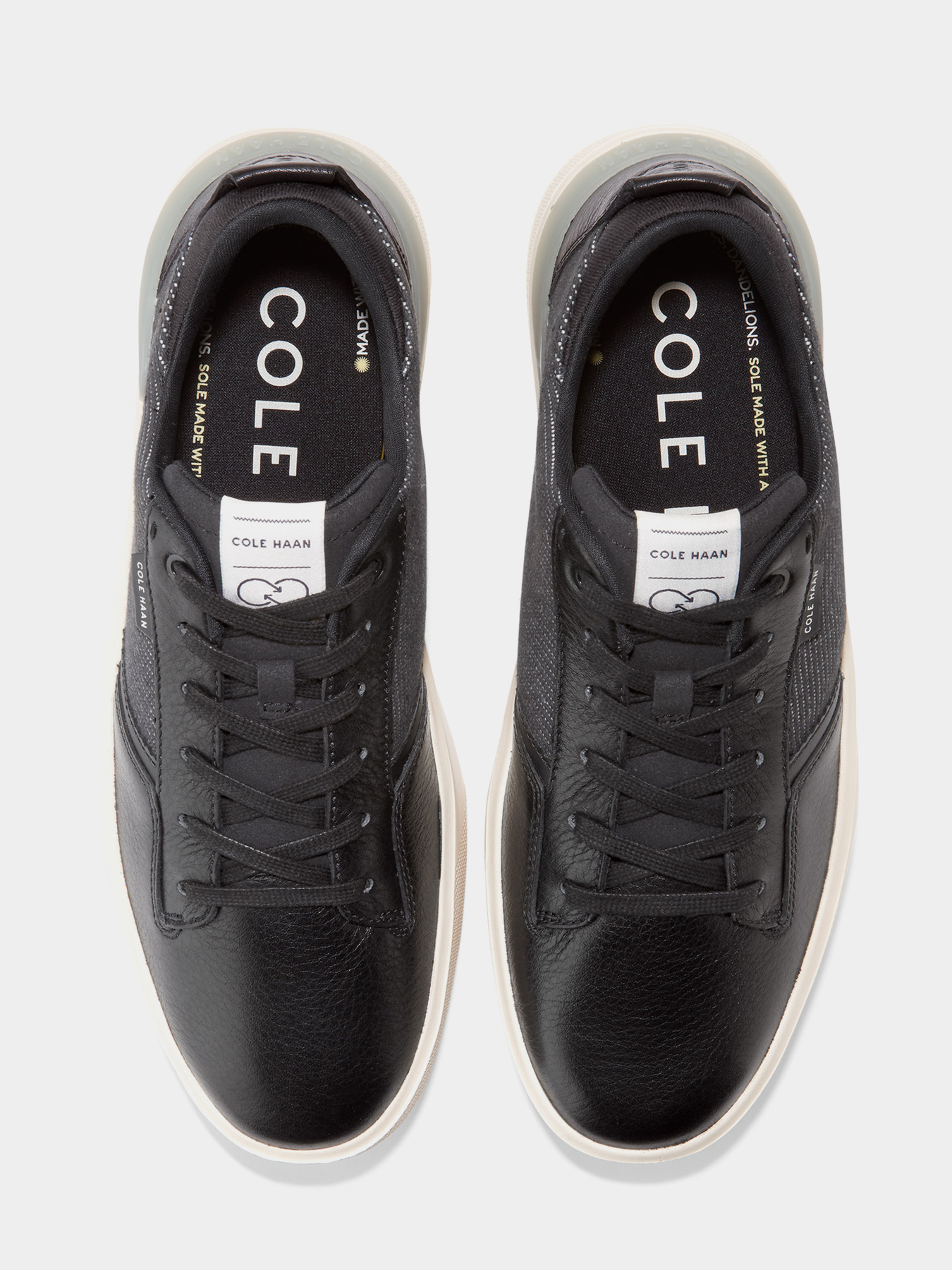 Кеды низкие Cole Haan модель C36754 Фото