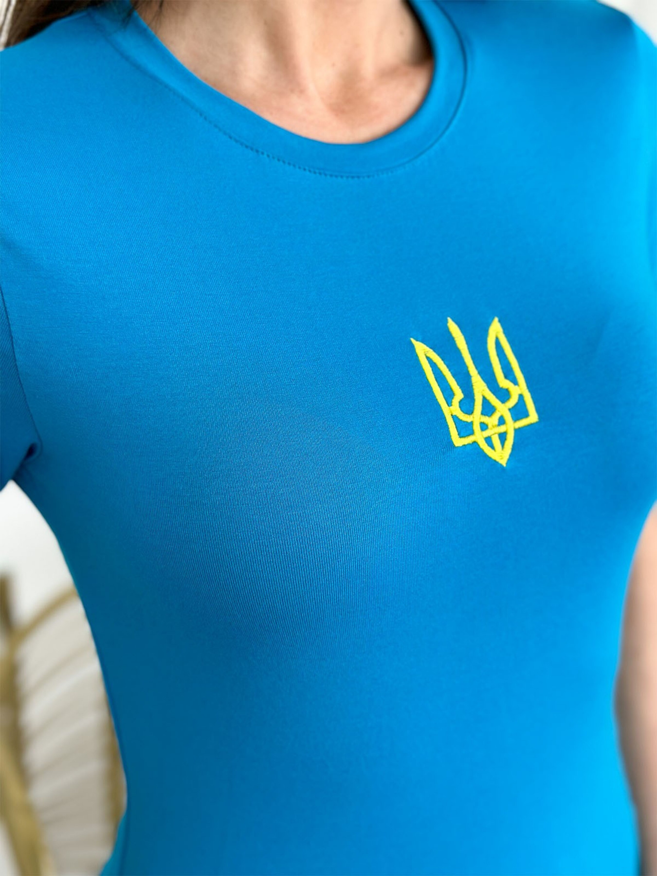 Футболка ISSA Plus модель 13854_blue Фото