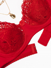 Бюстгальтер ISSA Plus модель BL2-667_red Фото