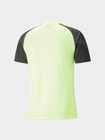 Спортивна футболка PUMA Individualcup Jersey модель 658289 Спортивна футболка PUMA Individualcup Jersey модель 658289 Фото
