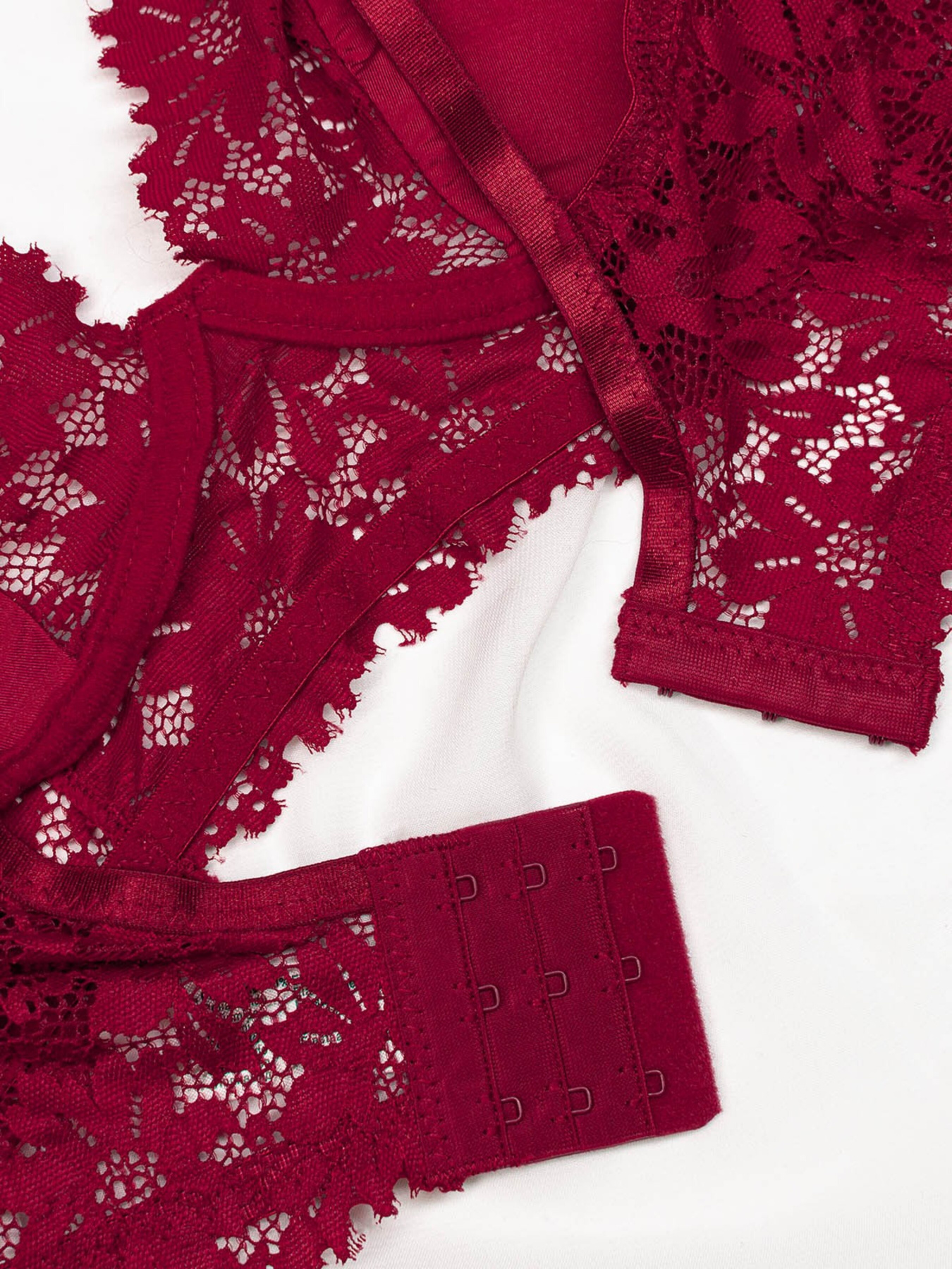 Бюстгальтер ISSA Plus модель BL2-683_burgundy Фото