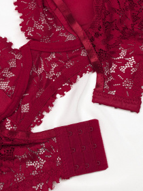 Бюстгальтер ISSA Plus модель BL2-683_burgundy Фото