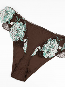 Трусы ISSA Plus модель BL2-713_brown Фото