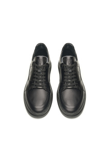 Кеды низкие Alex Bell модель 1169039 Фото